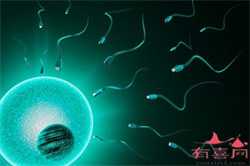 卵巢早衰供卵服务_试管婴儿的由来解答