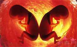供卵试管市场自然受孕_女人生二胎会更容易吗 这几种情况很反转