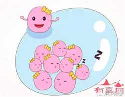 48岁供卵成功率多少_2021年北京试管婴儿费用大约需要多少？（附费用明细）