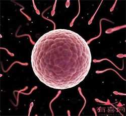 38岁供卵生二胎会畸形吗_夫妻染色体正常，为什么胚胎会染色体异常呢？