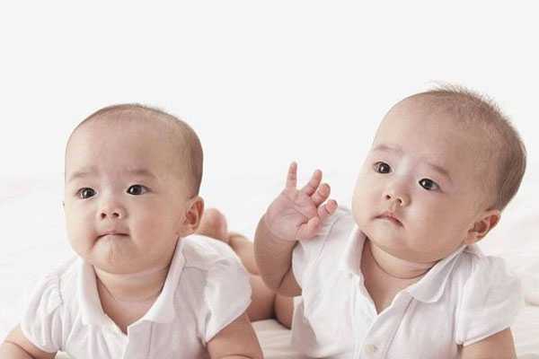 贵阳代孕生了双胞胎公司,泰国试管婴儿生双胞胎要多少钱?